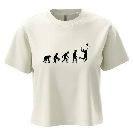 Evoluce volejbal culík