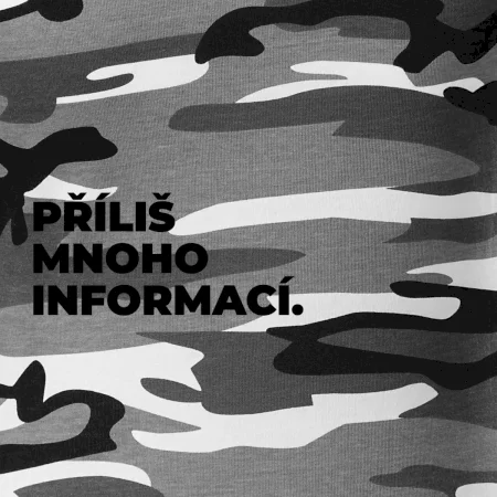 PŘÍLIŠ MNOHO INFORMACÍ.