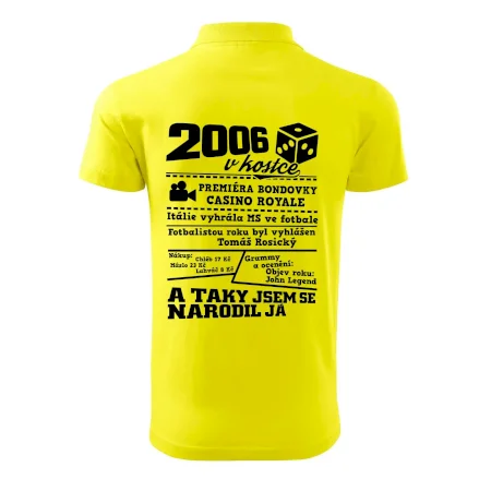 2006 v kostce