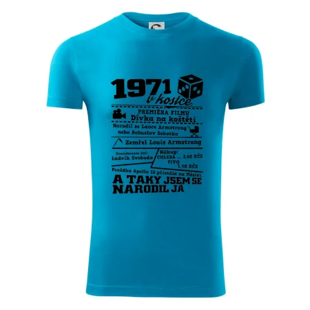 1971 v kostce