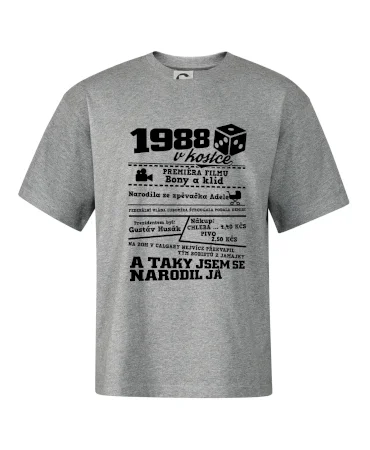 1988 v kostce