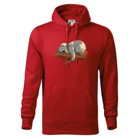 Koala na větvi