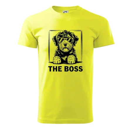 Lagotto romagnolo the boss