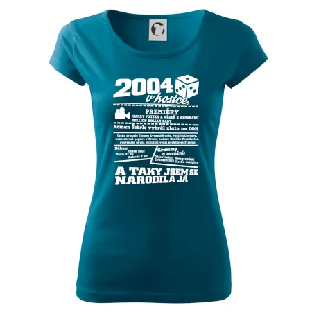 2004 v kostce