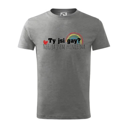 Gay princezna