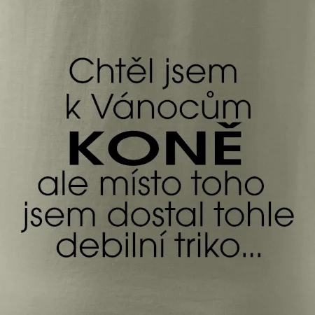 Chtěl jsem dostat k Vánocům koně