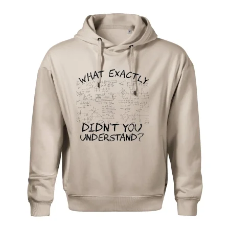 What exactly didnt you understand - physics
