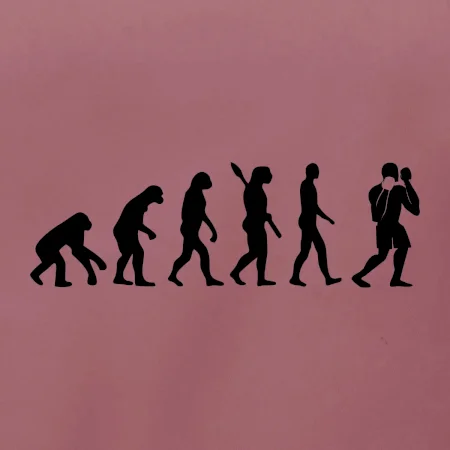 Evoluce box