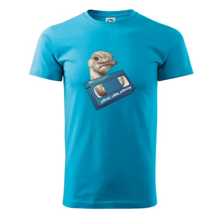 Pštrosi vídea