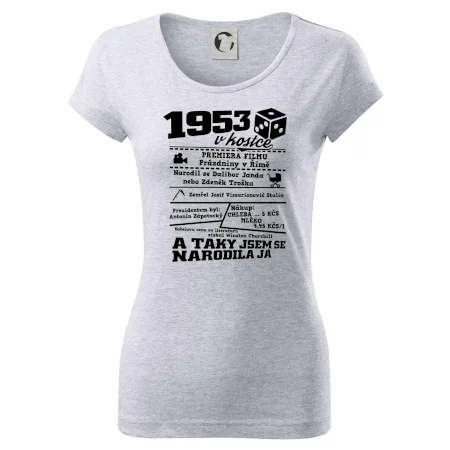 1953 v kostce