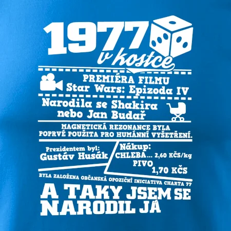 1977 v kostce