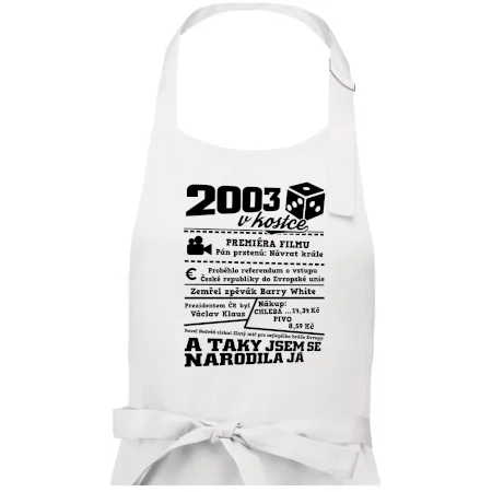 2003 v kostce