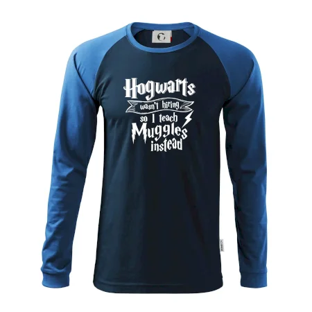 Harry - Hogwarts wasn’t hiring, so I teach Muggles instead
