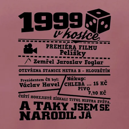 1999 v kostce