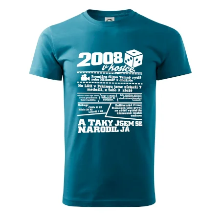 2008 v kostce