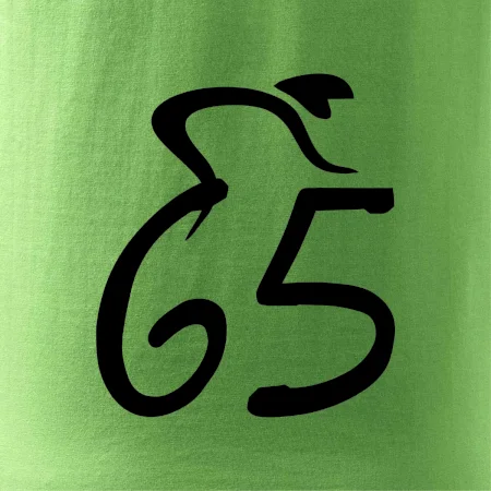 Cyklista slaví pětašedesátku (65)