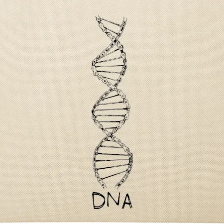 Cyklistovo DNA