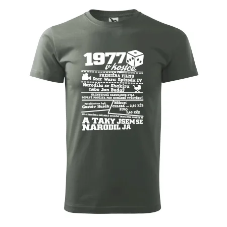 1977 v kostce