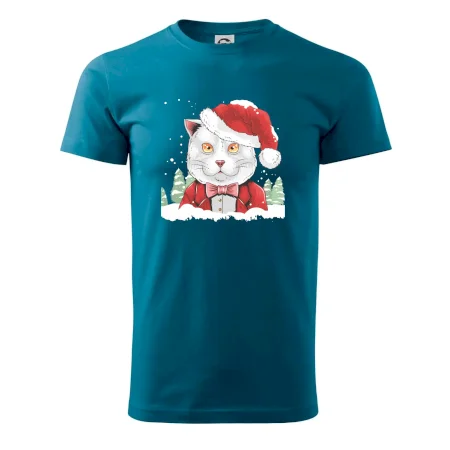Santa kocour