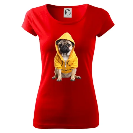 Mops v mikině
