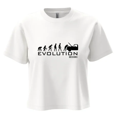Evoluce mechanik