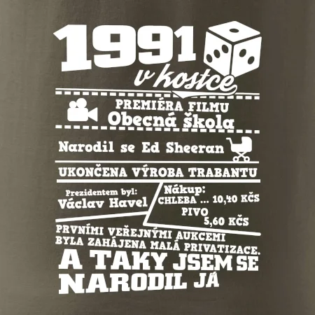 1991 v kostce