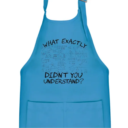 What exactly didnt you understand - physics