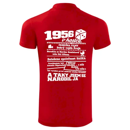 1956 v kostce