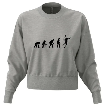 Evoluce Badminton