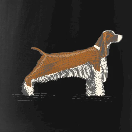 Vintage Springer spaniel
