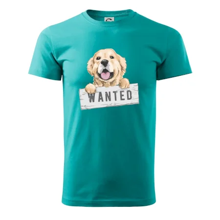 Zlatý retriever - štěně wanted