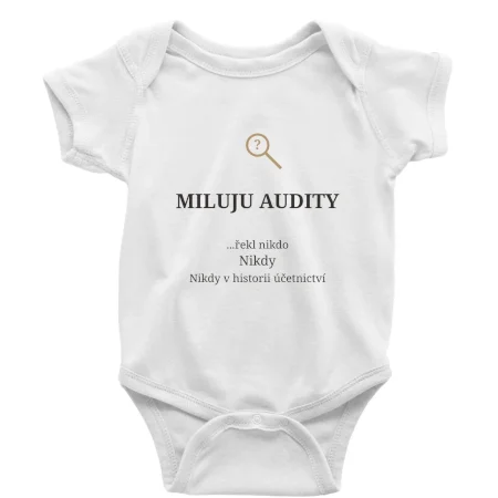 Miluju audity řekl nikdo nikdy