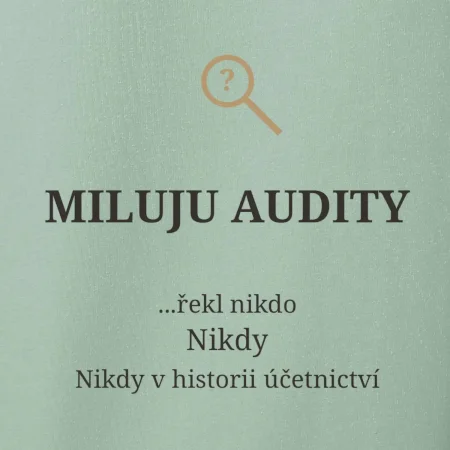 Miluju audity řekl nikdo nikdy