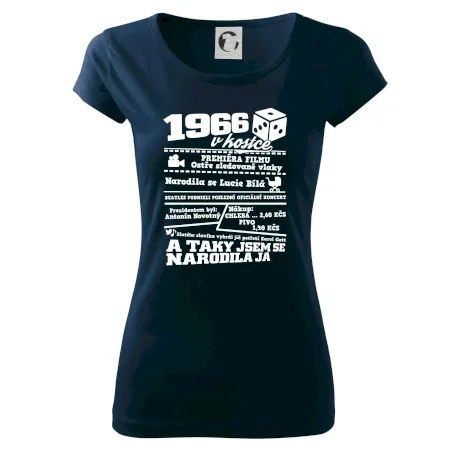 1966 v kostce