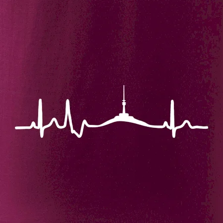 Ekg Jeseníky