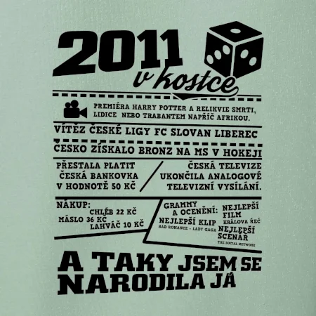 2011 v kostce