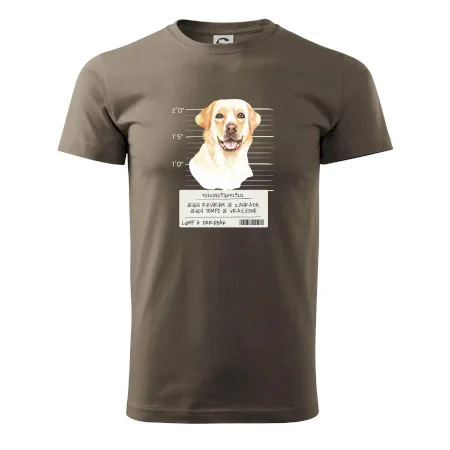 Lump a darebák labrador