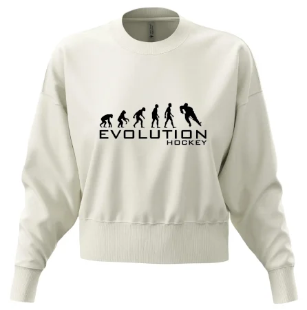 Evoluce Hockey - hráč