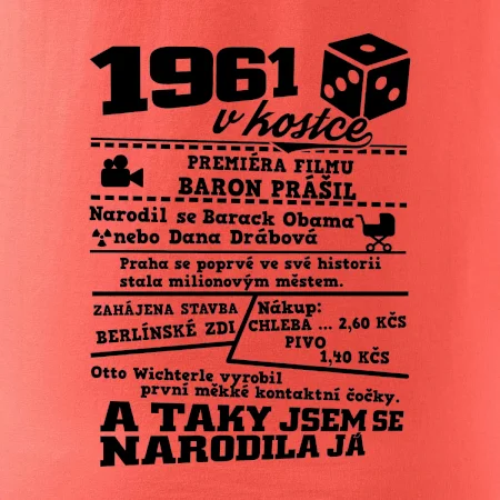 1961 v kostce