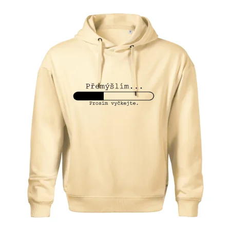 Přemýšlím