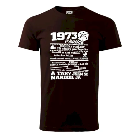 1973 v kostce