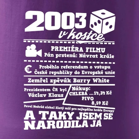2003 v kostce