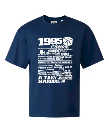 1995 v kostce