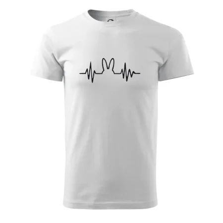 EKG zajíc