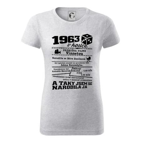 1963 v kostce