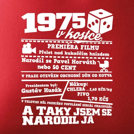 1975 v kostce