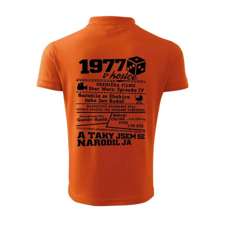 1977 v kostce