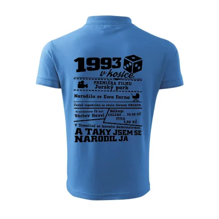 1993 v kostce