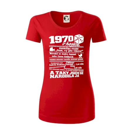 1970 v kostce