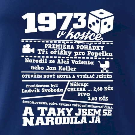 1973 v kostce